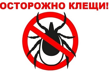 Изображения.